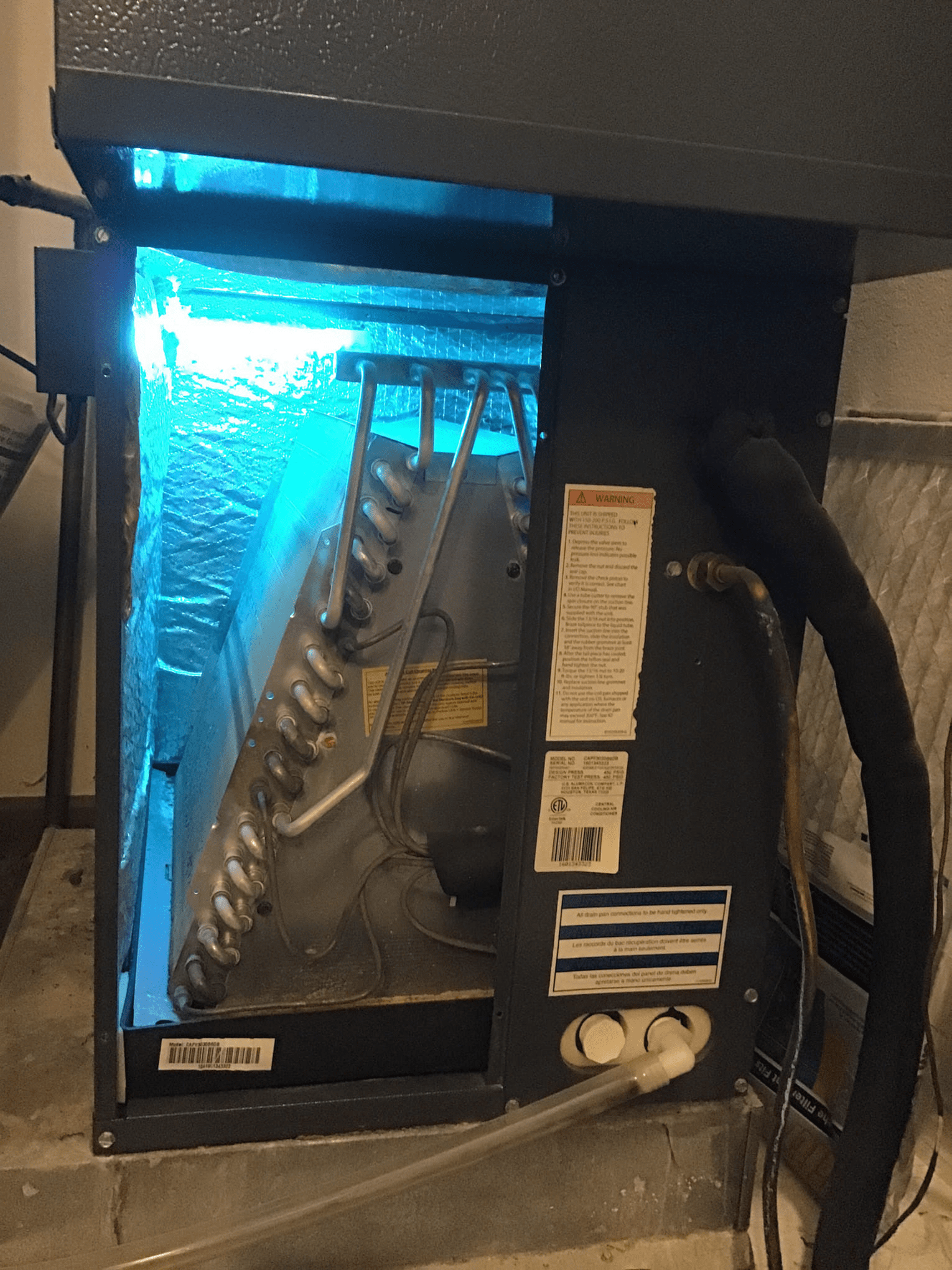Tiger UV-C Patriot Light